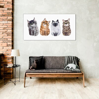Glasbild Katzen in verschiedenen Schattierungen