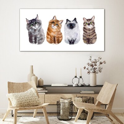 Glasbild Katzen in verschiedenen Schattierungen
