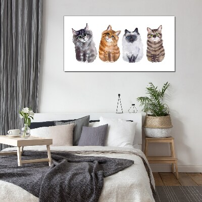 Glasbild Katzen in verschiedenen Schattierungen