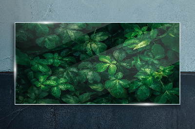 Glasbild Grünes Blätterdickicht