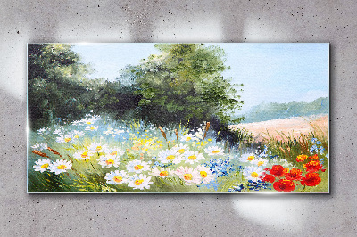 Glasbild Sommerwiesen in voller Blüte