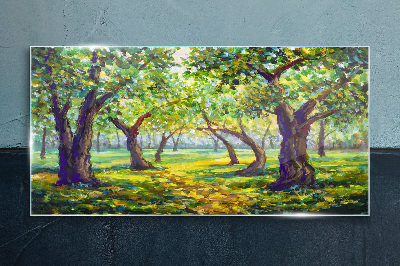 Glasbild Grüner Hain in den Sonnenstrahlen