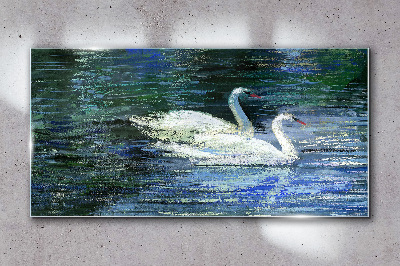 Glasbild Ruhiges Wasser mit Schwänen