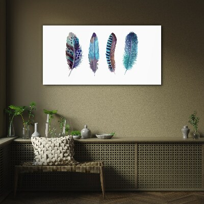 Glasbild Bunte Federn auf weißem Hintergrund