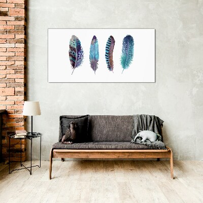 Glasbild Bunte Federn auf weißem Hintergrund