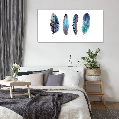 Glasbild Bunte Federn auf weißem Hintergrund