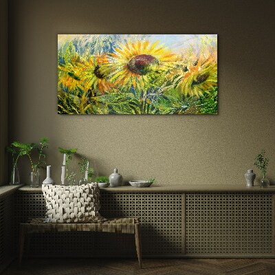 Bild auf glas Blumen Blumen Sonnenblume