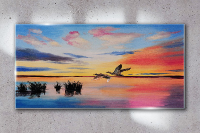 Bild auf glas Sonnenuntergang über dem See