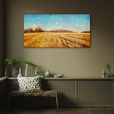 Glasbild Goldene Felder unter blauem Himmel