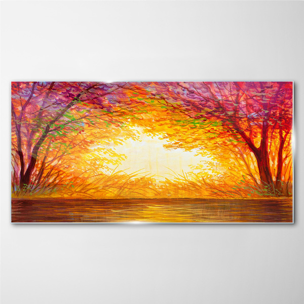 Foto auf glas Sonnenuntergang in einem bunten Wald