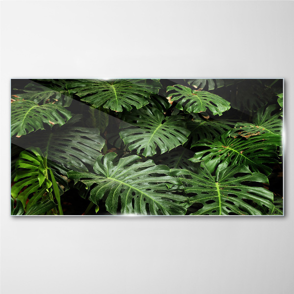 Glasbild Tropische Monstera-Blätter