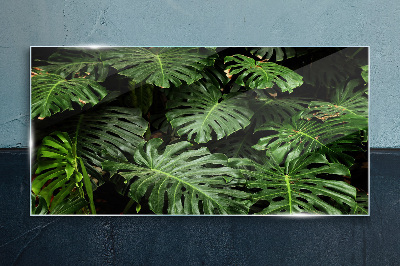 Glasbild Tropische Monstera-Blätter