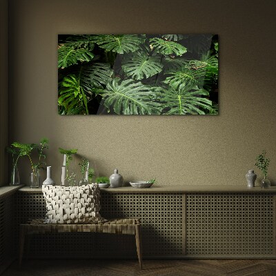 Glasbild Tropische Monstera-Blätter