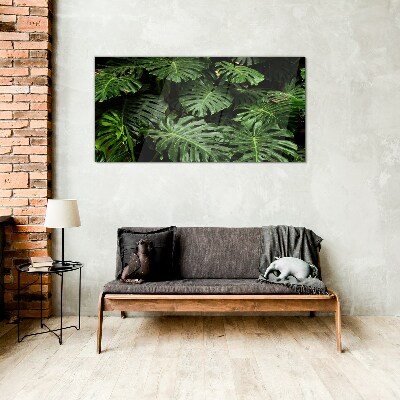 Glasbild Tropische Monstera-Blätter