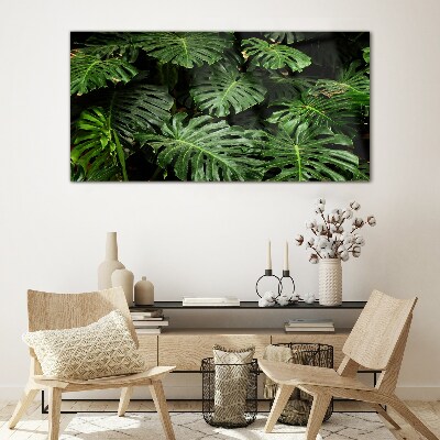 Glasbild Tropische Monstera-Blätter