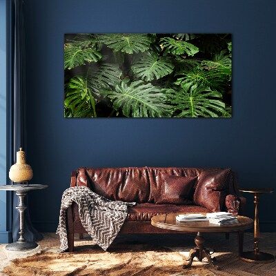 Glasbild Tropische Monstera-Blätter