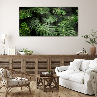 Glasbild Tropische Monstera-Blätter