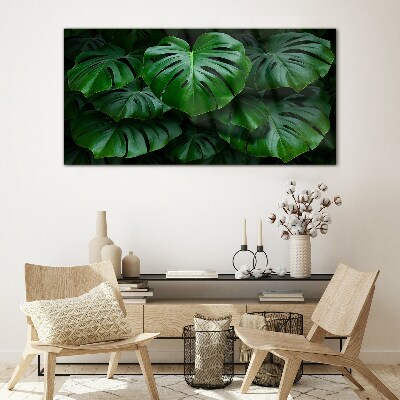 Glasbild Grüne Symphonie aus Monstera-Blättern
