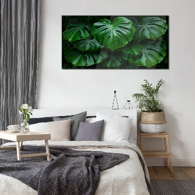 Glasbild Grüne Symphonie aus Monstera-Blättern