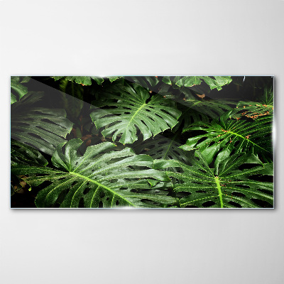 Glasbild Grüner Dschungel