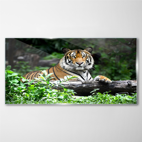 Glasbild Tiger im grünen Wald