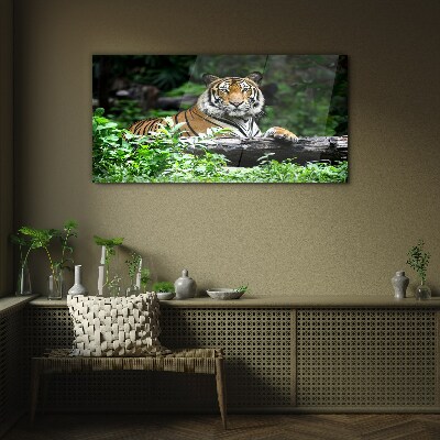 Glasbild Tiger im grünen Wald