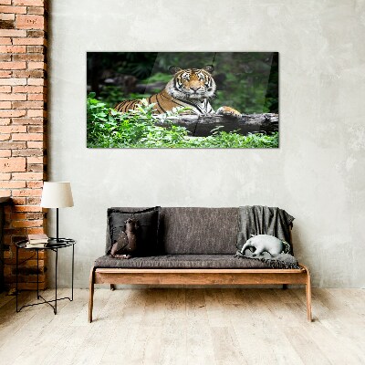 Glasbild Tiger im grünen Wald