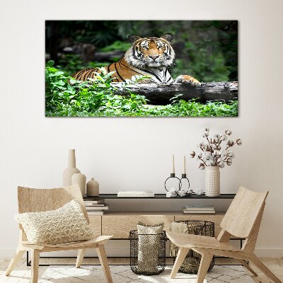 Glasbild Tiger im grünen Wald