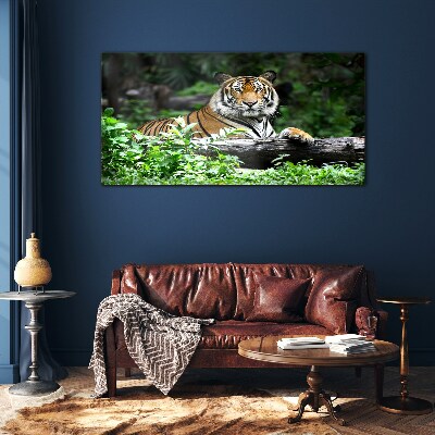Glasbild Tiger im grünen Wald