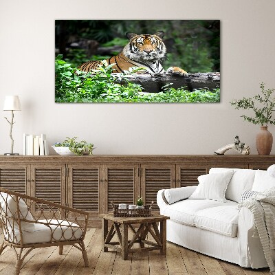 Glasbild Tiger im grünen Wald