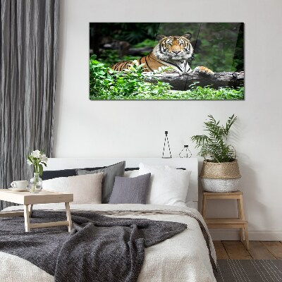 Glasbild Tiger im grünen Wald