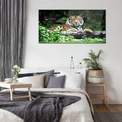 Glasbild Waldtier Katze Tiger