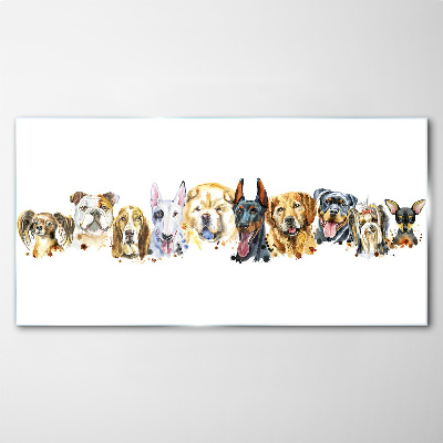 Glasbild Hundefreundschaften