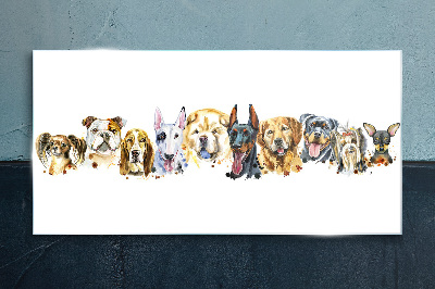 Glasbild Hundefreundschaften