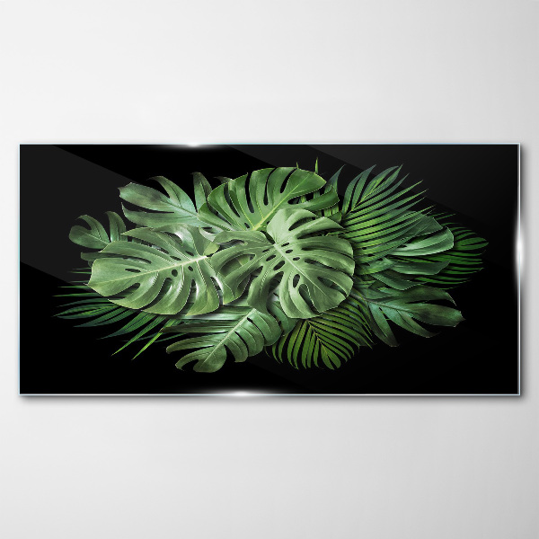 Glasbild Tropisches Grün auf schwarzem Hintergrund