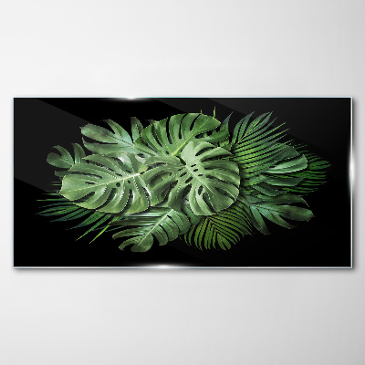 Glasbild Tropisches Grün auf schwarzem Hintergrund
