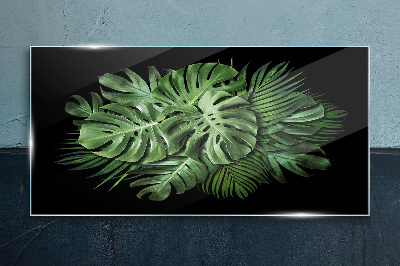 Glasbild Tropisches Grün auf schwarzem Hintergrund
