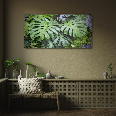 Glasbild Grüne Monstera-Blätter in der Natur