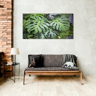 Glasbild Grüne Monstera-Blätter in der Natur