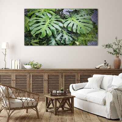 Glasbild Grüne Monstera-Blätter in der Natur