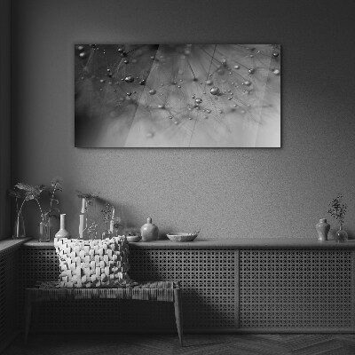 Glasbild Tautropfen auf einem Löwenzahn