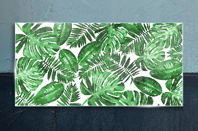 Bild auf glas Grüner Dschungel