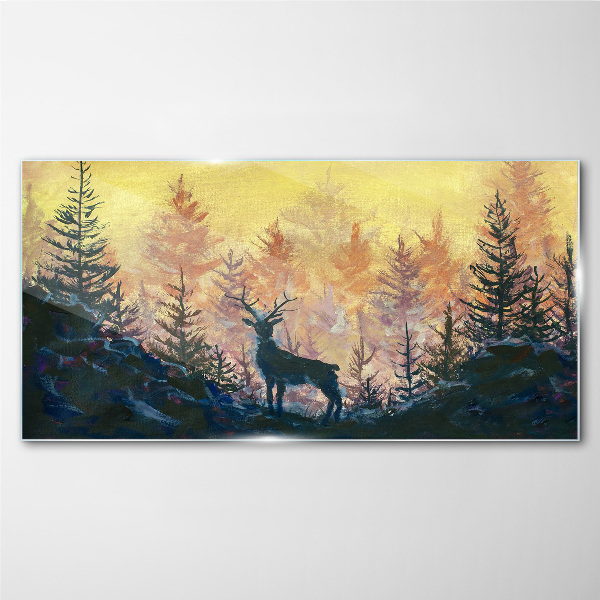 Foto auf glas Goldener Morgen im Wald