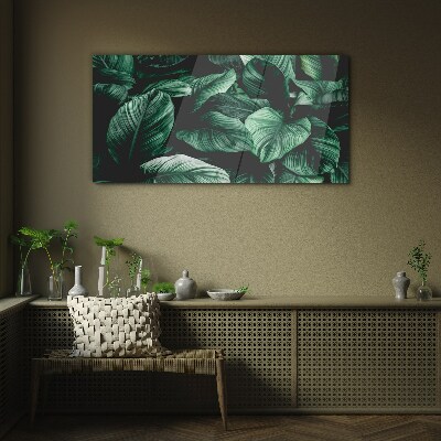 Glasbild Grüne Blättersymphonie