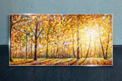 Foto auf glas Goldener Herbst im Wald