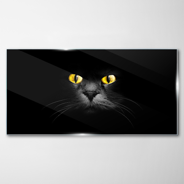 Glasbild Goldene Augen einer Katze im Schatten