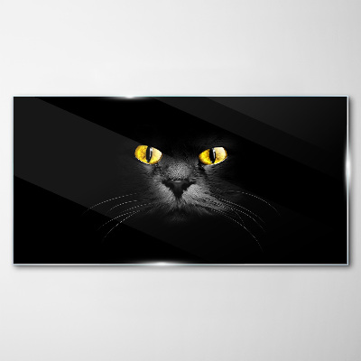 Glasbild Goldene Augen einer Katze im Schatten