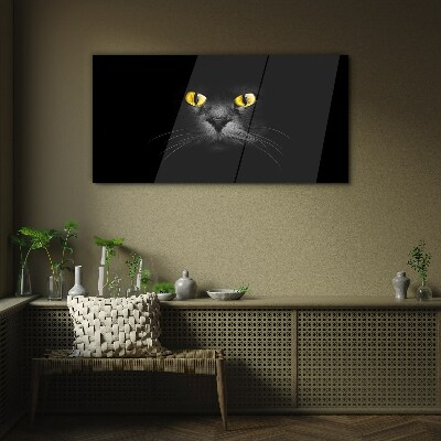 Glasbild Goldene Augen einer Katze im Schatten