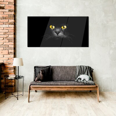 Glasbild Goldene Augen einer Katze im Schatten