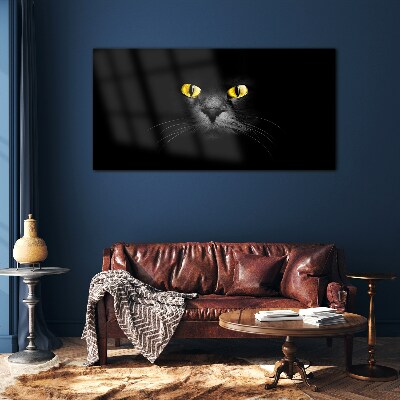 Glasbild Goldene Augen einer Katze im Schatten